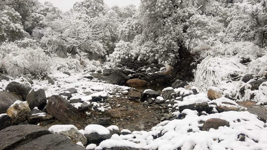 Nev En Merlo Y No Descartan Que Nieve En Las Altas Cumbres