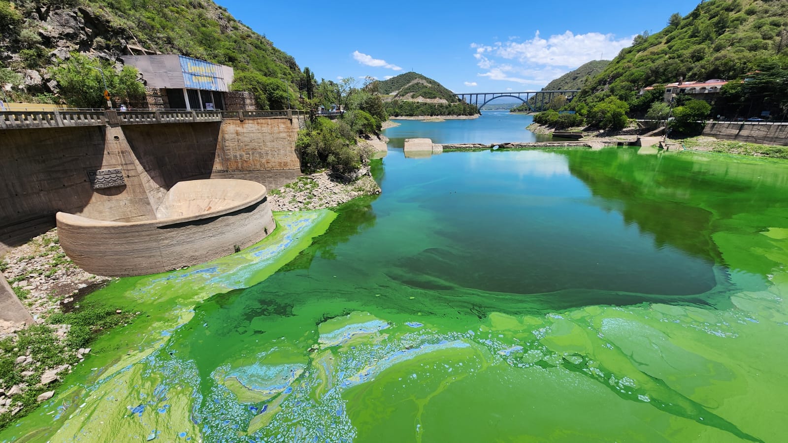 Informe C Mo Se Mide La Calidad Del Agua Del Lago San Roque Habr A