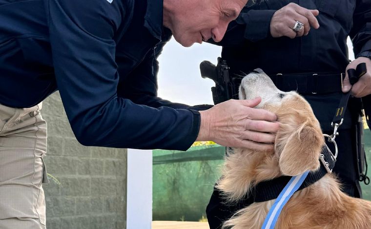 La emotiva despedida de Valtro y Tango, dos perros que se “jubilaron” de la Policía de Córdoba