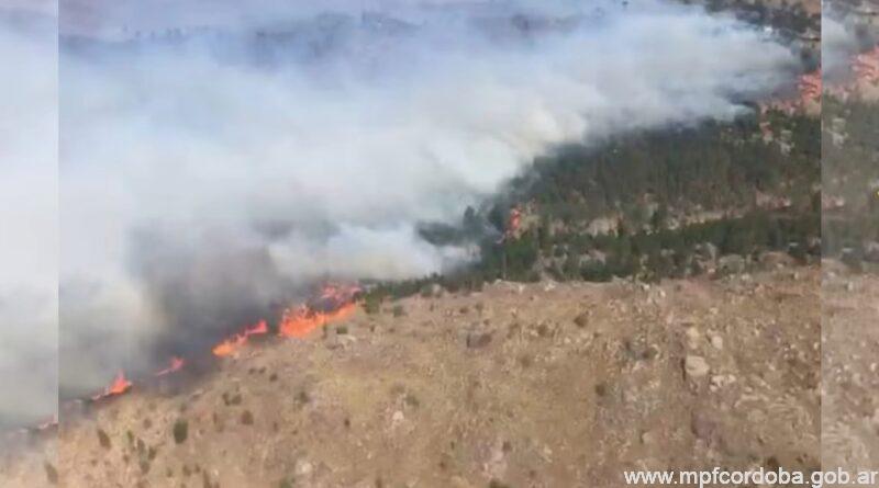 Otro detenido por provocar un incendio en Córdoba