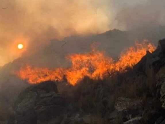 Incendio en Traslasierra: el fuego arrasó con animales y vegetación en la estancia Taruca Pampa