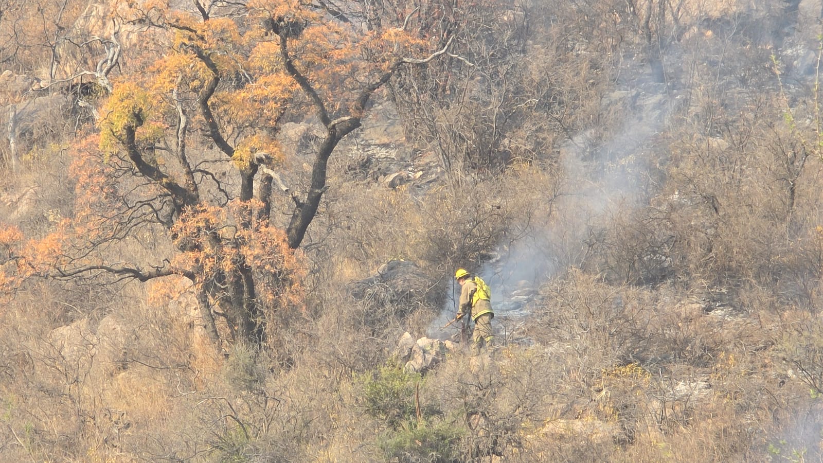 El Senado aprobó la emergencia ambiental en Córdoba con abstenciones de La Libertad Avanza