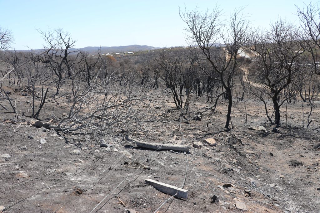 Córdoba declaró el desastre agropecuario por los incendios: A quiénes alcanza la medida