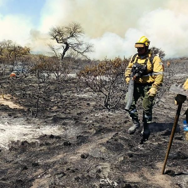 Incendios en Córdoba: Sigue el combate del fuego en Chancaní