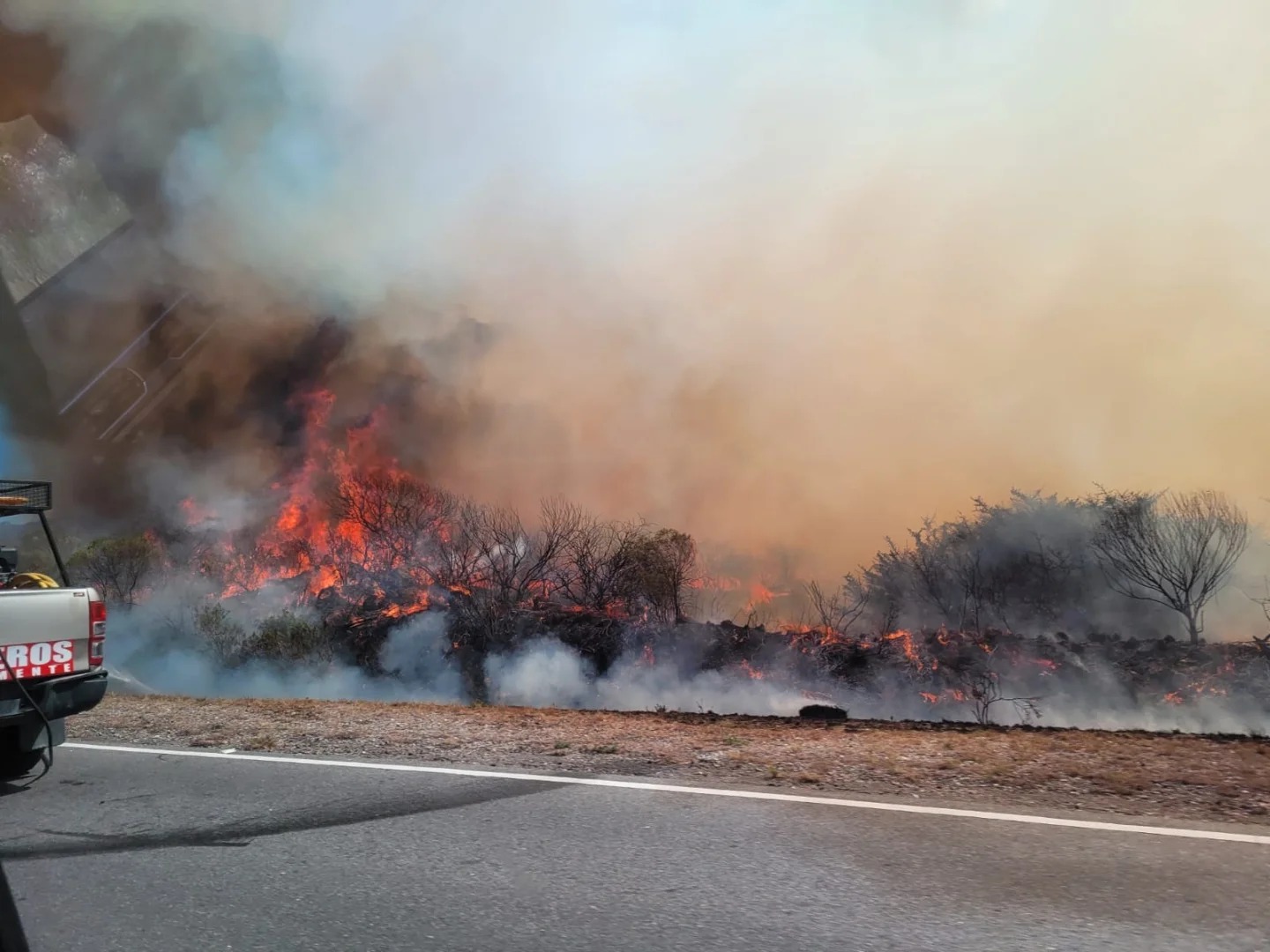 Bomberos controlaron el incendio que provocó un automóvil en Bosque Alegre