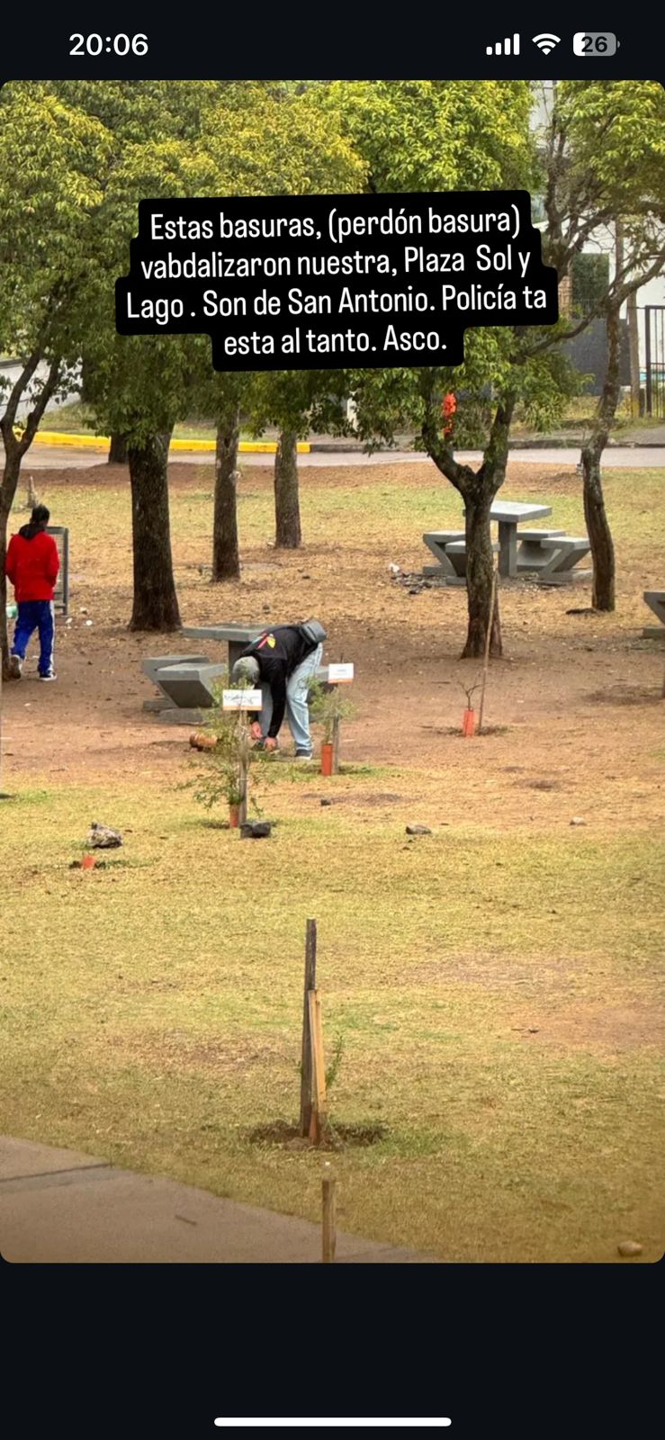 Vandalizaron árboles nativos y elementos en la plaza de Sol y Lago (video)