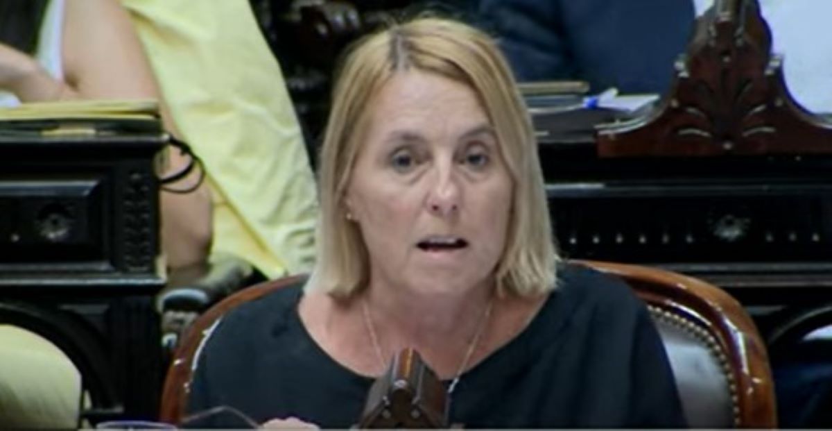 El fundamento del voto a favor del veto de Milei de Cecilia Ibañez, la diputada originaria de Carlos Paz