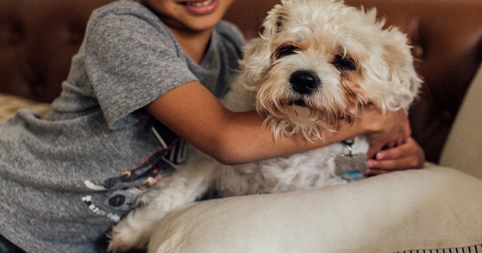 Abren una búsqueda de familia adoptiva para un niño de nueve años