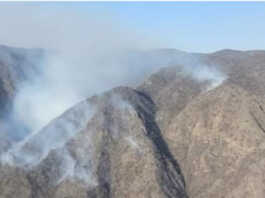 incendio córdoba