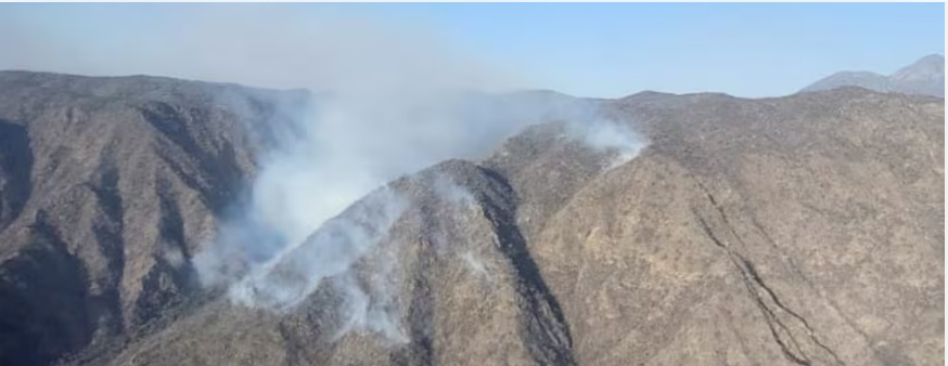 Incendios en Córdoba: sigue un foco activo en Salsacate y cortan la ruta 28